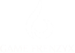 gamefrenzyx.com